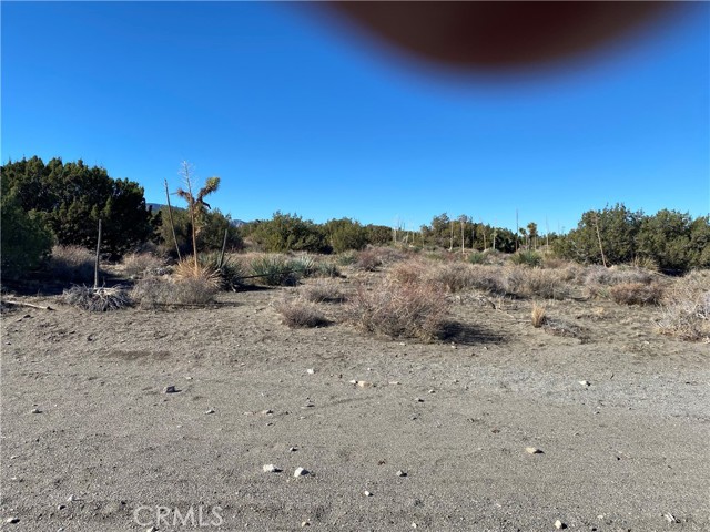 Detail Gallery Image 3 of 4 For 0 Nugget Rd, Phelan,  CA 92371 - – Beds | – Baths