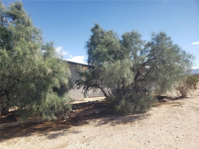 Detail Gallery Image 25 of 27 For 69626 Pluto, Twentynine Palms,  CA 92277 - 5 Beds | 2 Baths