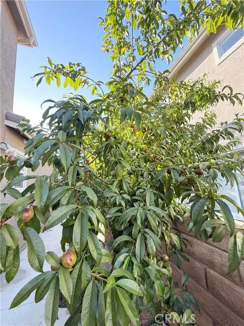 25910 Tennyson Lane, Stevenson Ranch CA: https://media.crmls.org/medias/daa4730b-dd0d-4cbe-bc9e-452dca50117d.jpg