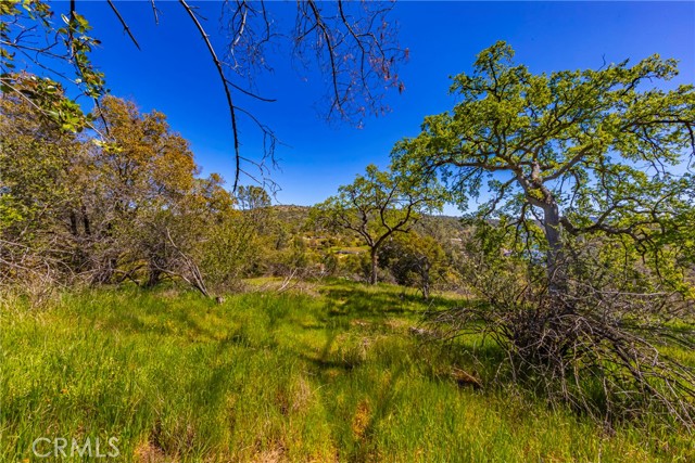 Detail Gallery Image 4 of 9 For 1 Jim Bowie Ct, Coarsegold,  CA 93614 - – Beds | – Baths