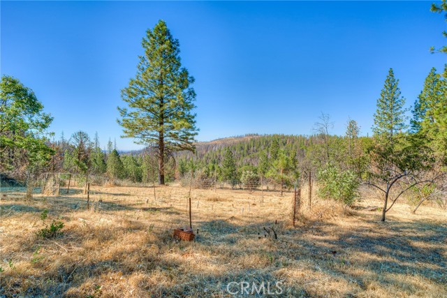 Detail Gallery Image 46 of 66 For 110 Black Bear Rd, Berry Creek,  CA 95916 - 2 Beds | 2 Baths