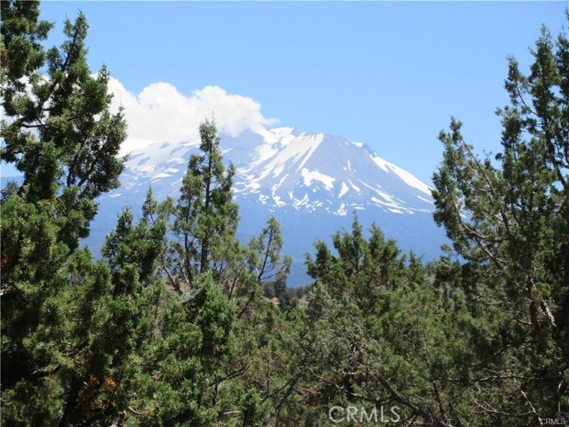 Detail Gallery Image 2 of 4 For 5115 Palomino Rd, Weed,  CA 96094 - – Beds | – Baths