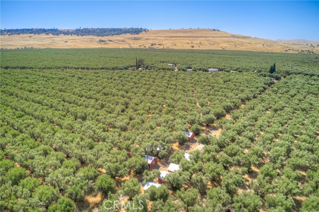 16 Rocky Drive, Oroville CA: https://media.crmls.org/medias/dab79d43-1123-4be3-a884-78c34706821d.jpg
