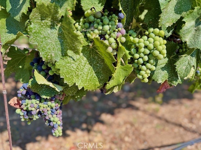 39547 Calle Cabernet, Temecula CA: https://media.crmls.org/medias/dabb6d3f-a8b5-4d3d-a31a-0619acd41373.jpg