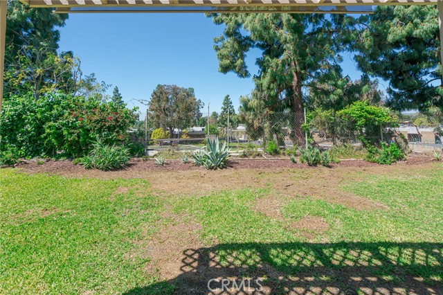 Tree-view Elevated, new seeded back yard