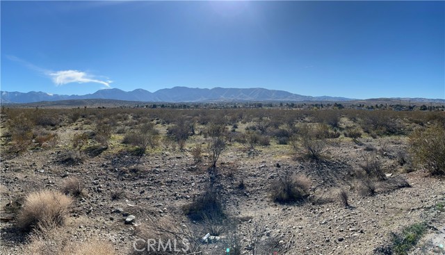 Front Image Thumbnail for CRCV25277742