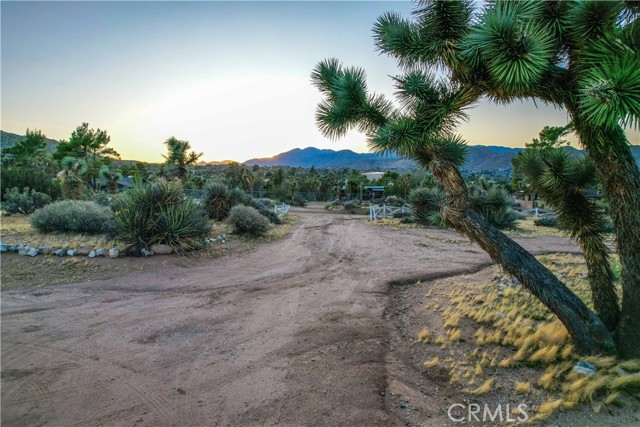 Detail Gallery Image 28 of 32 For 7985 Deer Trl, Yucca Valley,  CA 92284 - 2 Beds | 1 Baths