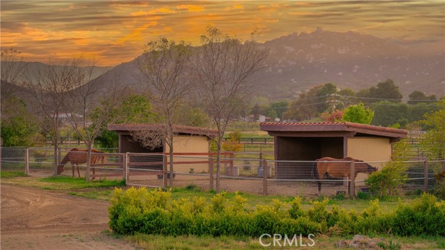 Detail Gallery Image 64 of 75 For 42659 Avenida Perris, Murrieta,  CA 92562 - 3 Beds | 3/1 Baths