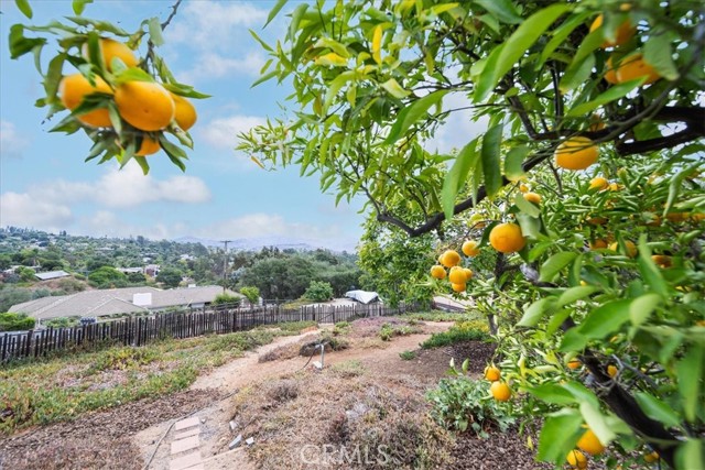 Detail Gallery Image 47 of 75 For 3057 via Hermosa, Escondido,  CA 92029 - 3 Beds | 2 Baths