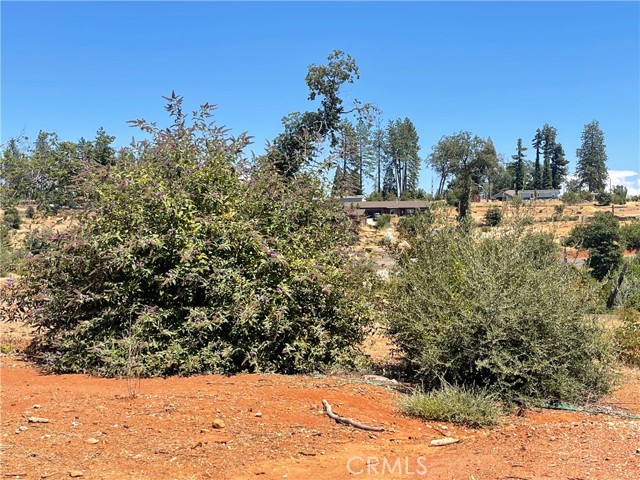 956 Pearson Road, Paradise CA: https://media.crmls.org/medias/dad53cdf-6e2d-43f3-bb27-216510f5b8e7.jpg