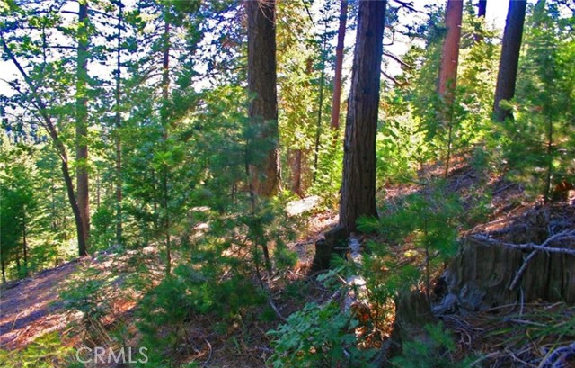 Detail Gallery Image 11 of 17 For 525 Ca-173, Lake Arrowhead,  CA 92352 - – Beds | – Baths