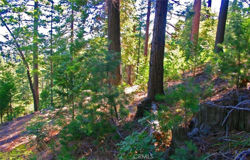 MLS #IG25271978 image #10