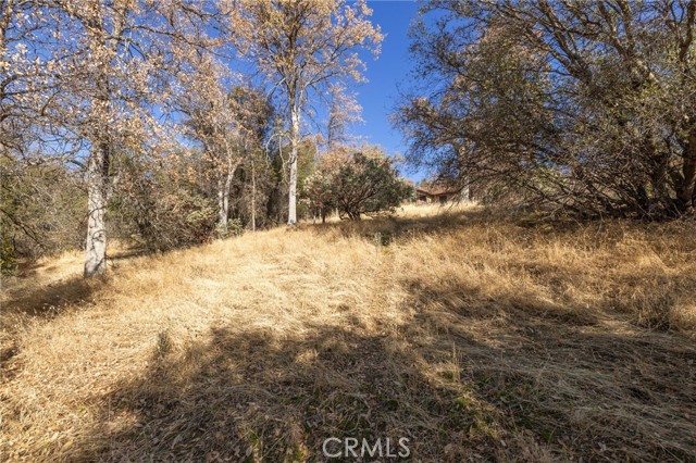 Detail Gallery Image 55 of 74 For 42400 Maples Ln, Oakhurst,  CA 93644 - 3 Beds | 2 Baths