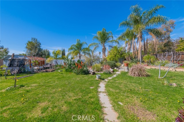 Image 33 of 42 For 13433 Nutmeg