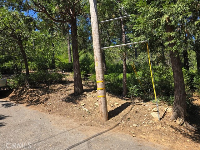 0 Lovers Lane, Cedarpines Park CA: https://media.crmls.org/medias/dadcbd32-6c1c-432a-9b6e-64bdae234b9c.jpg