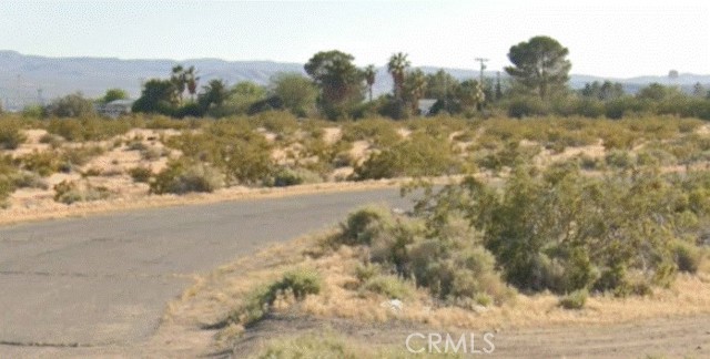 Detail Gallery Image 3 of 10 For 0 Telstar Ct, Yermo,  CA 92398 - – Beds | – Baths
