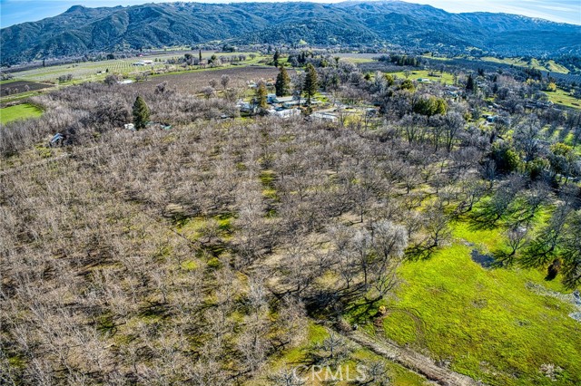 10010 Elk Mountain Road, Upper Lake/ Upper Lake Valley, California 95485, ,Land,For Sale,10010 Elk Mountain Road,CRLC23044793