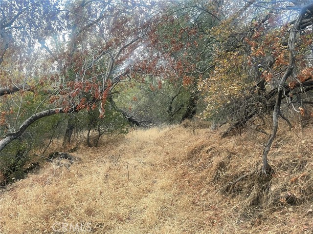 Detail Gallery Image 8 of 19 For 43020 Apache Ranch Rd, Ahwahnee,  CA 93601 - – Beds | – Baths
