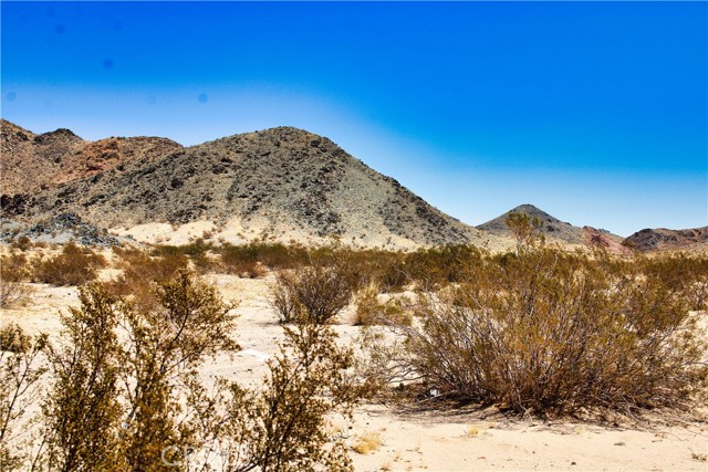 Detail Gallery Image 1 of 50 For 49342 Starlite Lane Dr, Newberry Springs,  CA 92365 - – Beds | – Baths