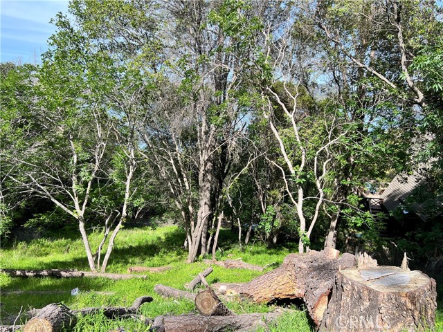 Detail Gallery Image 4 of 5 For 3356 Southlake Ct, Kelseyville,  CA 95451 - – Beds | – Baths