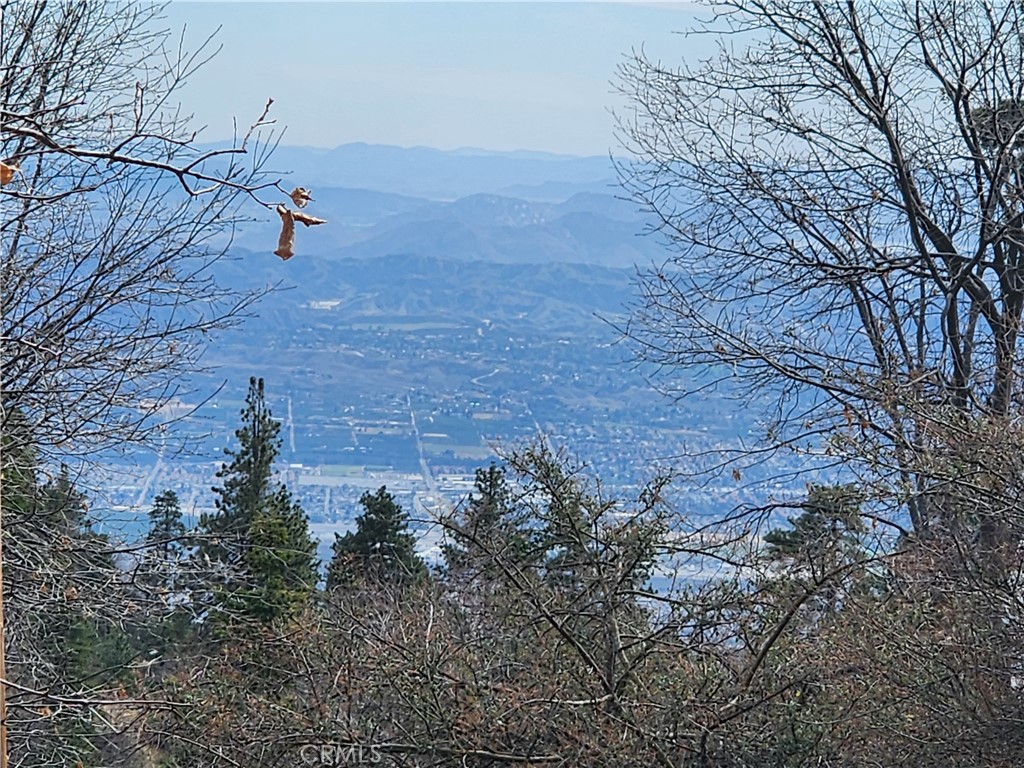 MLS #IG25045374 image #23