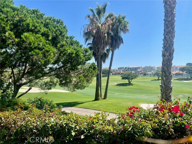 Photo #17: LG23169029 Listing 