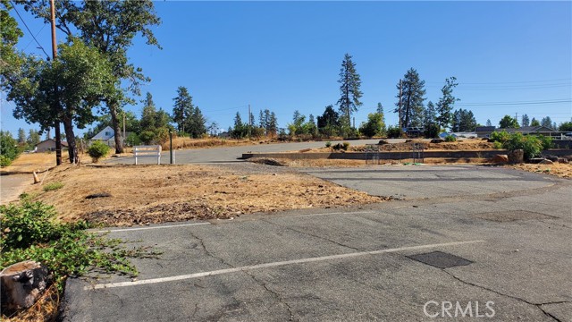 5325 Black Olive Drive, Paradise, California 95969, ,Land,For Sale,5325 Black Olive Drive,CRSN23197459