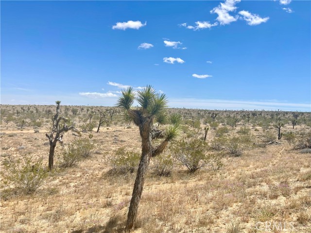 Detail Gallery Image 7 of 19 For 20 Acres, Yucca Valley,  CA 92285 - – Beds | – Baths