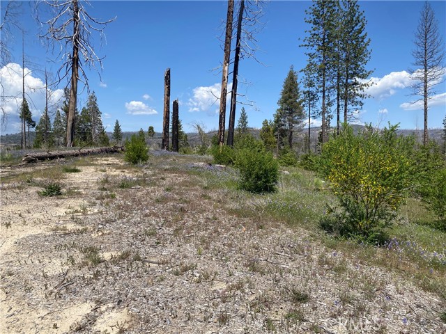 Detail Gallery Image 17 of 24 For 1103 Bald Rock Rd, Berry Creek,  CA 95916 - – Beds | – Baths