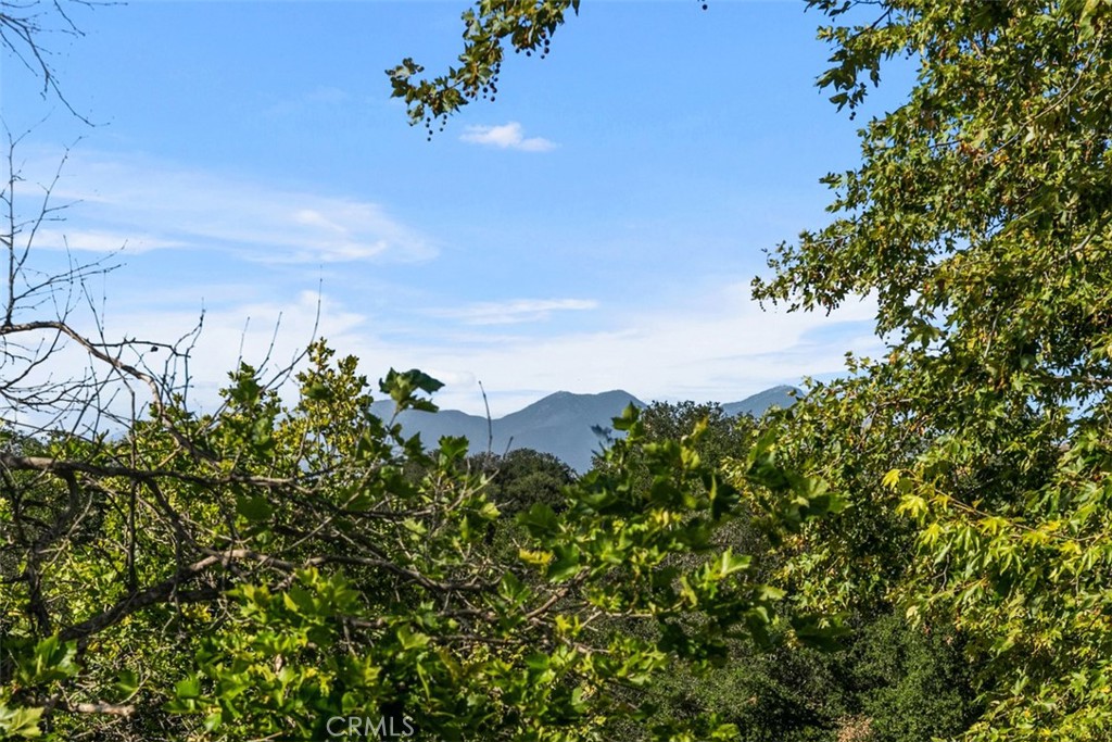https://media.crmls.org/medias/db03b846-616f-454d-9088-30f3145bc63d.jpg?preset=X-Large