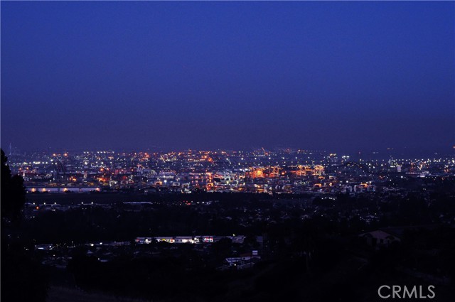 Evening harbor lights view