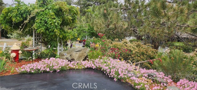 Detail Gallery Image 50 of 57 For 5180 Lone Pine Canyon, Wrightwood,  CA 92397 - 4 Beds | 2 Baths