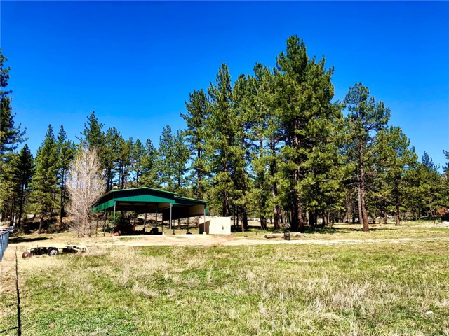0 Butterfly Peak Rd, Mountain Center, CA, 92561 0 Butterfly Peak Rd, Mountain Center, CA, 92561