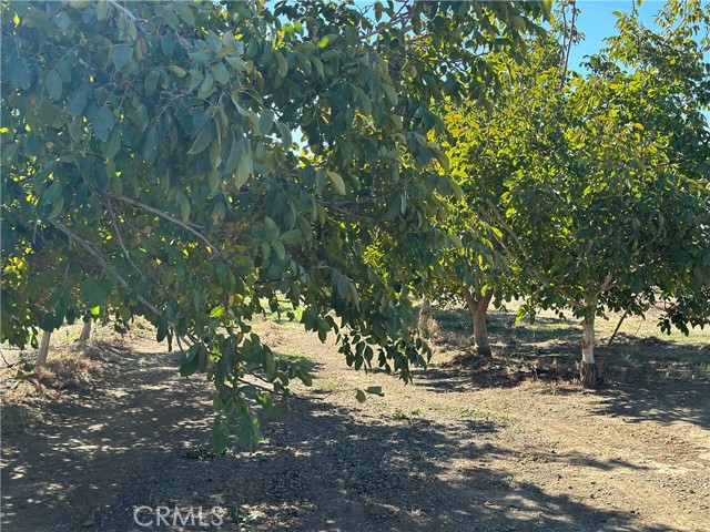 Detail Gallery Image 5 of 6 For 3149 County Rd H, Orland,  CA 95963 - 3 Beds | 2 Baths