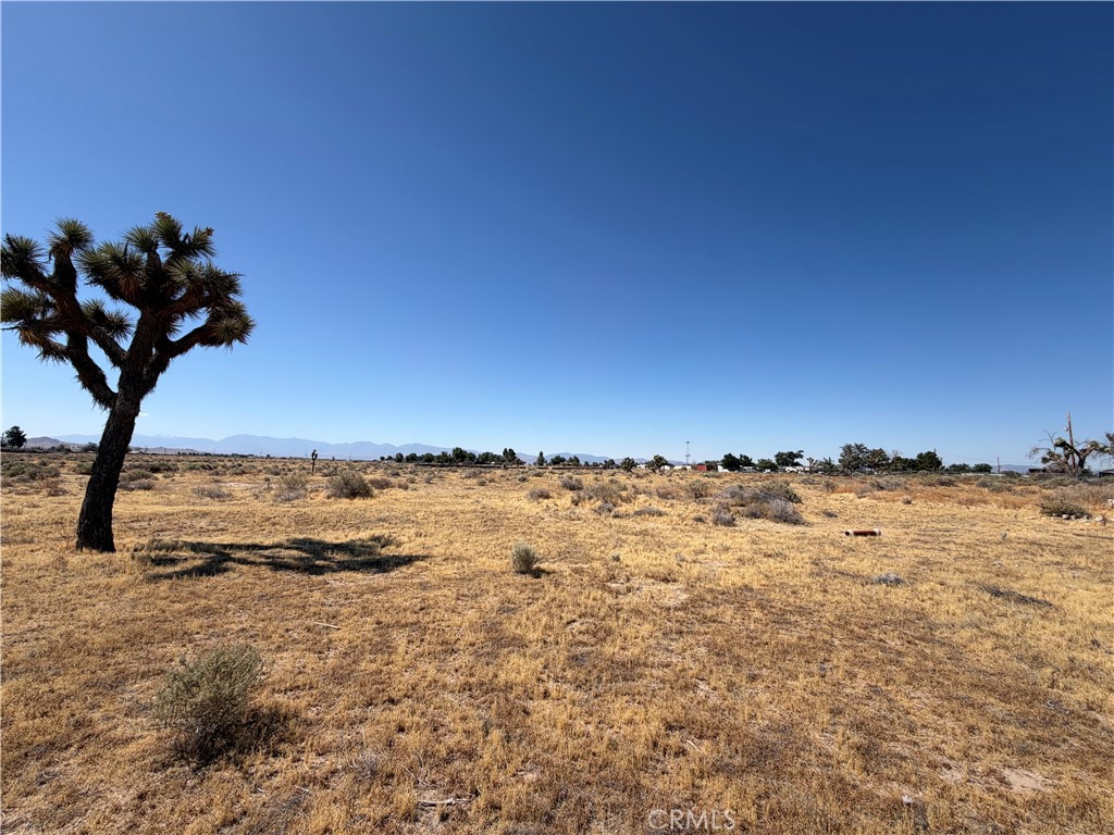 MLS #PW26133193 image #16