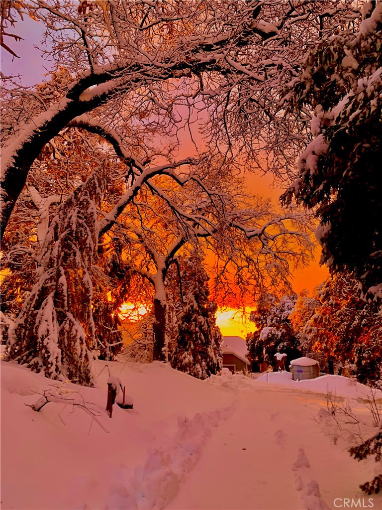 https://media.crmls.org/medias/db14a324-d892-46ff-9c05-44b62fbcc488.jpg?preset=X-Large