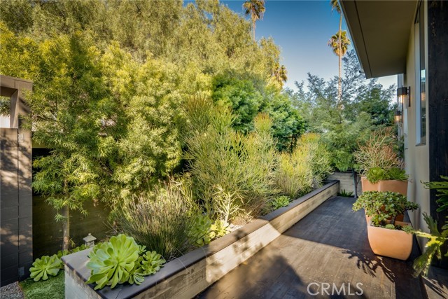 Succulent Entry Courtyard