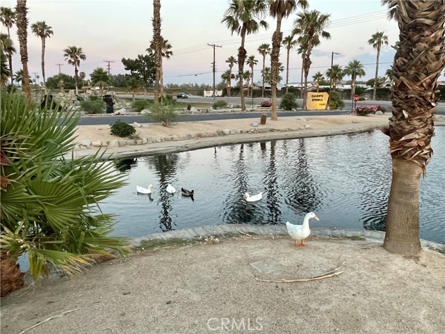 Detail Gallery Image 23 of 27 For 70200 Dillon Rd #571,  Desert Hot Springs,  CA 92241 - 1 Beds | 1 Baths