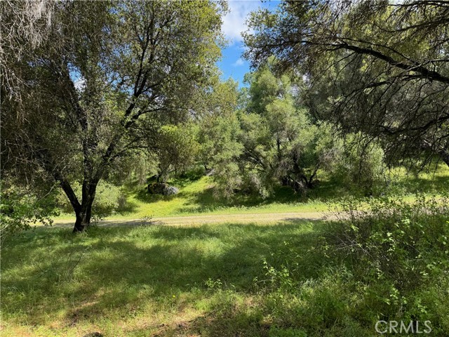4516 Hirsch Road, Mariposa CA: https://media.crmls.org/medias/db173296-ceed-4139-b1a0-8b3e9eaaf27b.jpg