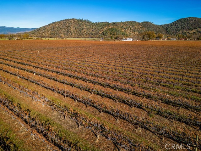 Detail Gallery Image 22 of 26 For 4150 Gaddy Ln, Kelseyville,  CA 95451 - – Beds | – Baths