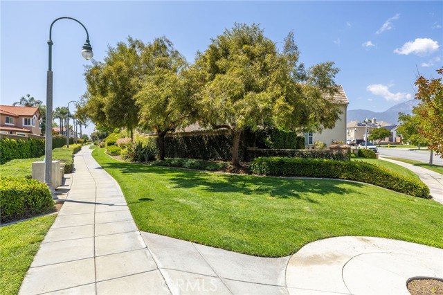 Detail Gallery Image 55 of 55 For 1526 Cole Ln, Upland,  CA 91784 - 4 Beds | 3 Baths