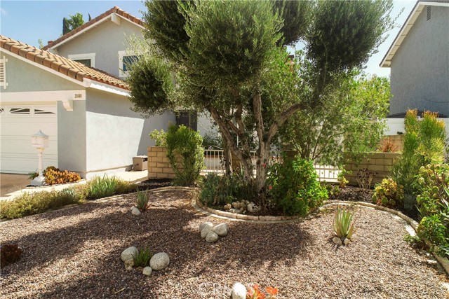 Yard with drought tolerant plants and drip system located in front of the large fenced in patio.