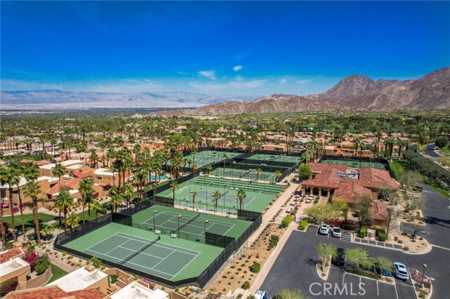 Image 42 of 45 For 73575 Encelia