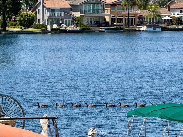 21903 Erie Lane, Lake Forest CA: https://media.crmls.org/medias/db280fc7-d440-43f3-a830-ac6e585484a5.jpg