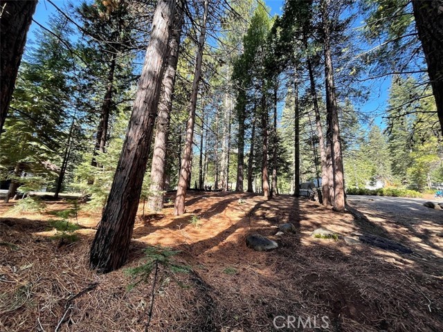 Detail Gallery Image 7 of 8 For 728 Lake Ridge Rd, Lake Almanor,  CA 96137 - – Beds | – Baths