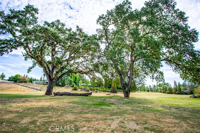 Detail Gallery Image 70 of 75 For 21975 Sunburst Ln, Red Bluff,  CA 96080 - 5 Beds | 5/1 Baths