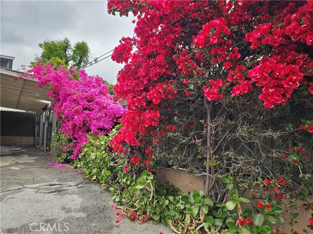 2547 Hermosa Avenue, Montrose CA: https://media.crmls.org/medias/db391e37-f341-4d03-8473-de6e28197c3b.jpg