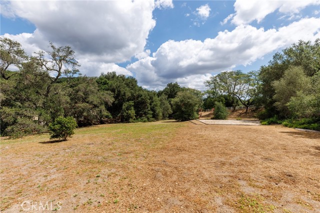 Image 52 of 70 For 8 Palomino  