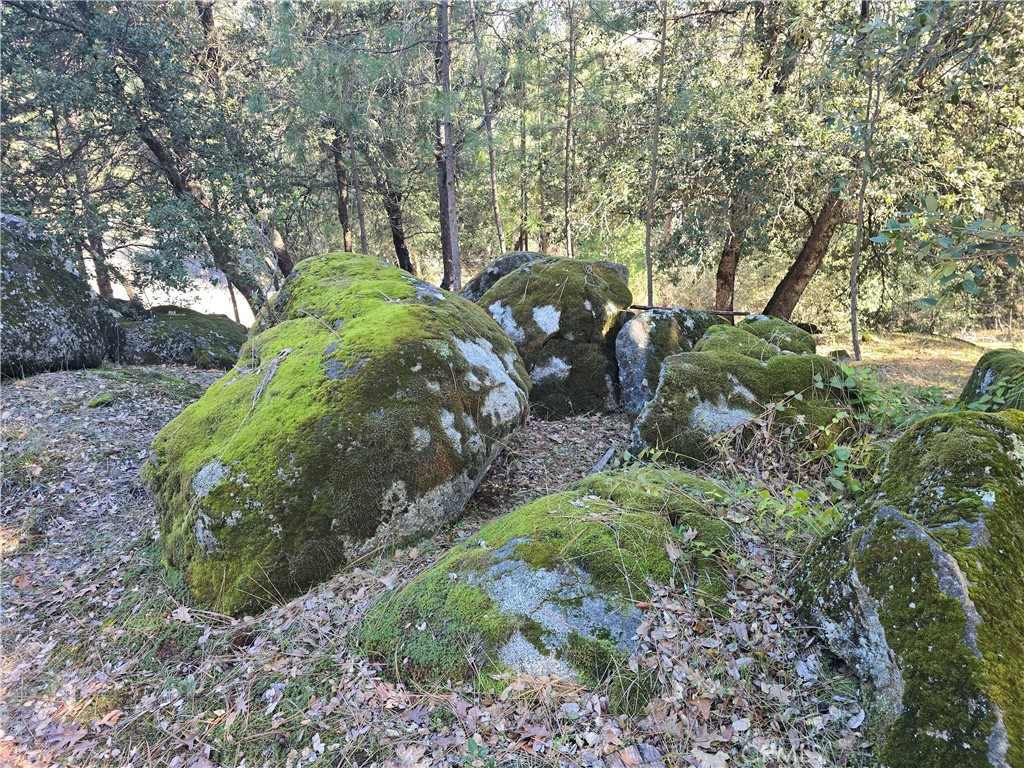 https://media.crmls.org/medias/db3bccf4-94f7-4995-b6c1-ea508eb90c28.jpg?preset=X-Large