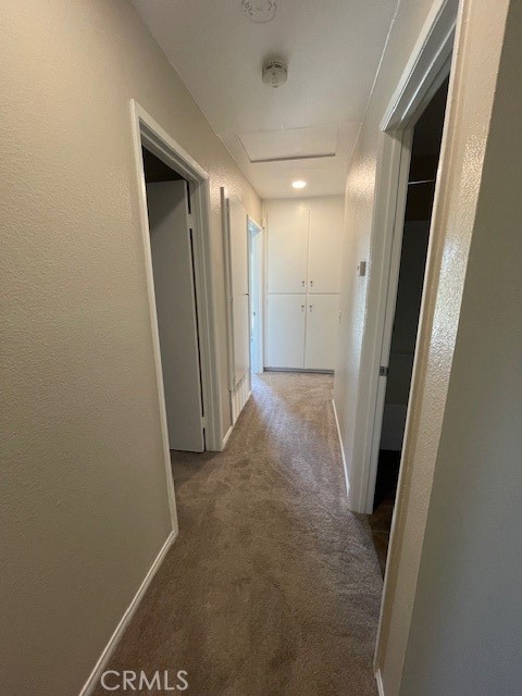 5674 Avenue Juan Bautista, Jurupa Valley CA: https://media.crmls.org/medias/db420e7c-c4a4-4239-ac2c-d5a48cfaa73c.jpg